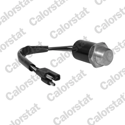 Temperature Switch, radiator fan